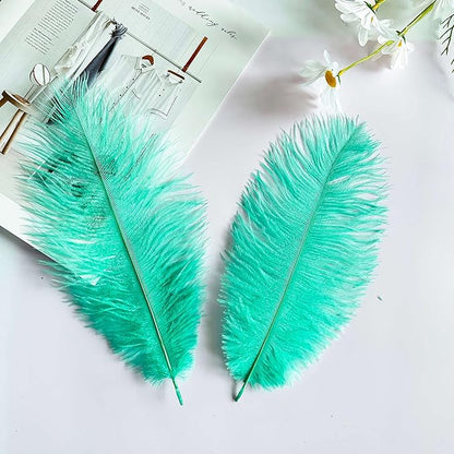 Piokio 20 pcs Mint Green Ostrich Feathers Plumes 12-14 inch(30-35 cm) Bulk for Wedding Party Centerpieces and DIY Clothes Decoration, Gatsby Decorations