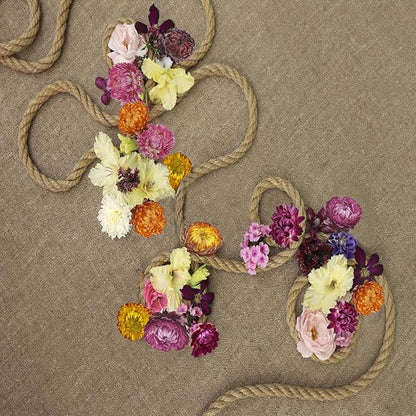 240 Pcs Natural Dried Daisy Flowers Heads Bulk Gerbera Daisies Multicolor Real Sunflowers Chrysanthemum with Jute Rope and Needle Dry Flower Arrangements for DIY Craft Wedding Decor Home Party