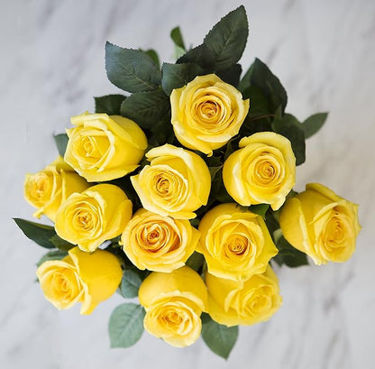 Blooms2Door PRIME NEXT DAY DELIVERY - Fall Collection - Yellow Sunshine Bouquet of 12 Yellow Roses with Vase|.Gift for Birthday, Thank You, Valentine, Mother’s Day Fresh Flowers