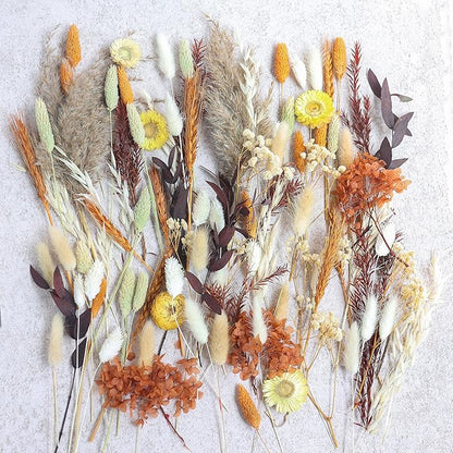 DIY Dried Flower Set, Bulk Dried Flowers,Autumn Decoration, DIY Bouquet Set, Door Hanging Wreath, Desktop Decorations Mini Dried Flowers (Orange)