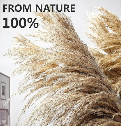 40" inch 10 Stems Pampas Grass Decor Tall, Pampas Grass Bouquet, Natural Dried Flowers for Wedding, Natural Home Decor, Wall Grass, Glam Decor