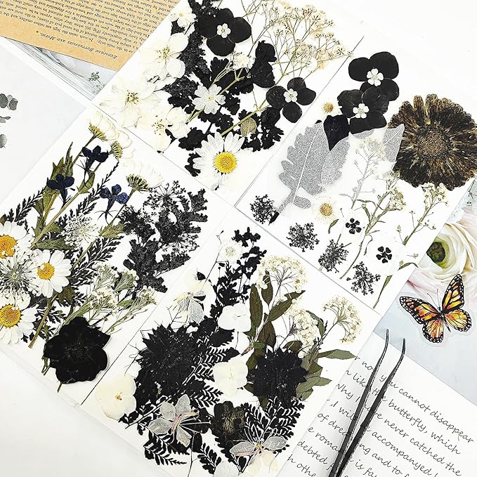 84Pcs Black Dried Pressed Flowers for Resin Molds, Bulk Real Natural Dry Floral for DIY Art Crafts, Epoxy Jewelry, Candle, Soap Making, Nails Decor, Phone Case