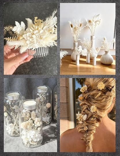 Natural Dried Flower Set, Bulk Dried Flowers with Stems, Dried Daisies, Dried Rabbit's Tail Grass,Mini Bouquet.(White)