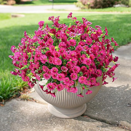 HyeFlora Artificial Flowers for Outdoors Fake Plants, 12 Bundles Faux Fuchsia Morning Glory UV Resistant Look Real Silk Flowers for Outside Planter Front Door Porch Patio Yard Fall Autumn Decoration
