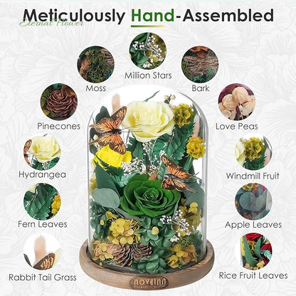 NOVEINN Preserved Flowers in Glass Dome - Eternal Rose Arrangement with Real Preserved Plants, Romantic Forever Rose Gift for Women - Anniversary, Birthday, Mother’s Day, Home Decor(Yellow)