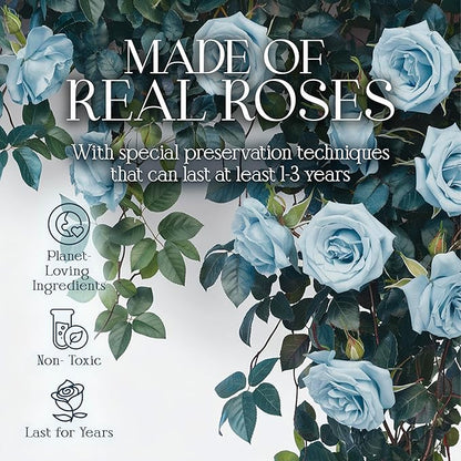 GLAMOUR BOUTIQUE Preserved Roses in a Box - Gifts for Her, Wife & Mom, Rose Flowers Forever Decor for Birthday Gift, Get Well Flower Bouquet Cased in White Box with Cover - Teal - 16-Piece