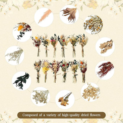 Layhit 12 Pack Boho Dried Flower Bouquet Mini Wedding Handmade Dry Flowers Decor for Vase Crafts DIY Photo Boutonniere for Men Floral Plant for Bridesmaid Gift Birthday Decor(Bright)