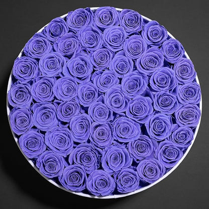 50 Piece Roses in a Velvet Box, Flowers for Delivery, Presereved Flowers Birthday Gifts for Women Mom and Wife (Light Purple)