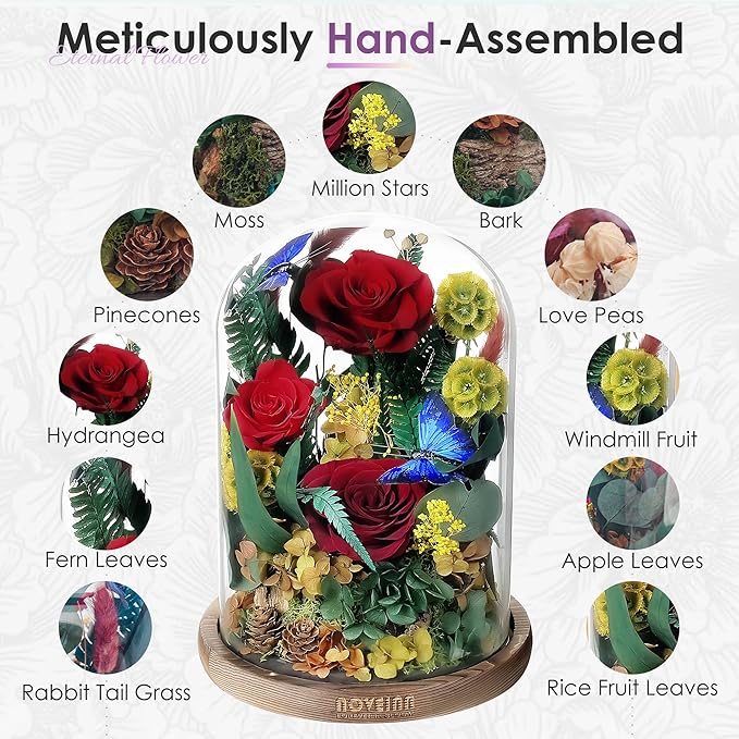 NOVEINN Preserved Flowers in Glass Dome - Eternal Rose Arrangement with Real Preserved Plants, Romantic Forever Rose Gift for Women - Anniversary, Birthday, Mother’s Day, Home Decor(Red)