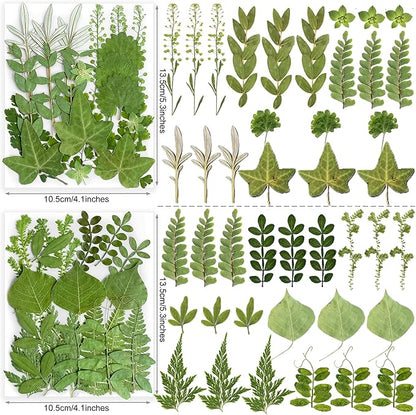 84Pcs Real Natural Dried Pressed Flowers & Green Leaves for DIY Crafts, Resin, Scrapbooking, Frame Decor + 4 Packs + Tweezers