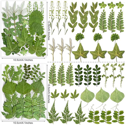84Pcs Real Natural Dried Pressed Flowers & Green Leaves for DIY Crafts, Resin, Scrapbooking, Frame Decor + 4 Packs + Tweezers