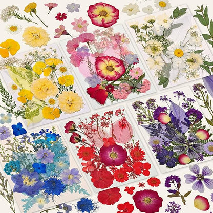 150 Pcs Dried Pressed Flowers for Resin,Real Nature Dried Flowers for Crafts Bulk Dry Flowers Leaves Kit Used for Resin Molds Scrapbooking DIY Art Crafts Candle Soap Making Décor
