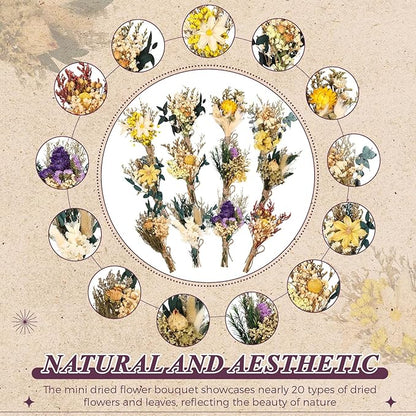Layhit 24 Pcs Boho Dried Flower Bouquet Mini Wedding Handmade Dry Flowers Decor for Vase Crafts DIY Photo Boutonniere for Men Floral Plant for Bridesmaid Gift Birthday Decor (Vivid)