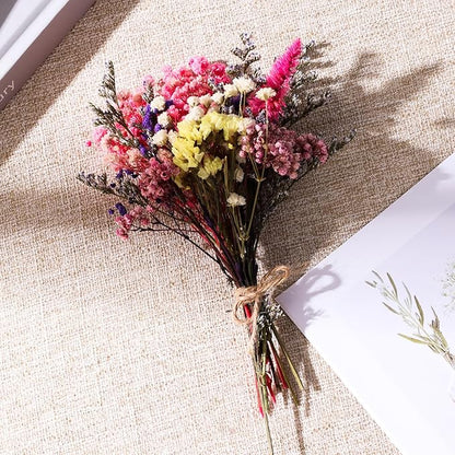 11 Kinds of Dried Flowers for Crafts Bulk DIY Natural Multi-color Dried Pampas Grass Lavender Forget Me Not Babys Breath with Stems Dry Flower Bouquets with Hemp Rope for Home Decor Floral Arrangement