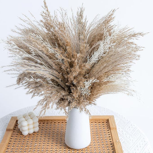 WILD AUTUMN Fluffy Boho Decor Dried Grass - Dried Pampas Grass Short pompas Grass Vase Filler Dried Flowers Wedding Home Table Rustic Farmhouse Decor