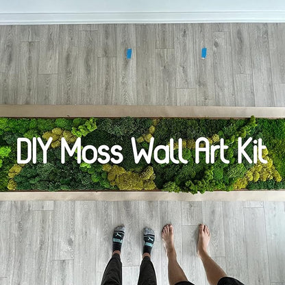 Preserved Sheet Moss Natural Green Decorative Real Natural Green DIY Kit Gardenning Art Wall Decor Florist Decor Easter Table Decor Wedding 2 sq.ft.Green-B