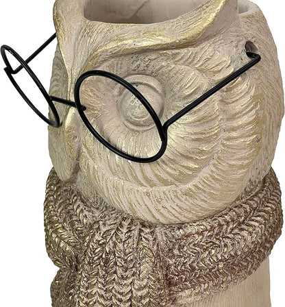 Bespectacled Owl Cement Vase 8.25 Inch – Whimsical Animal Planter with Real Glasses, Knit Textured Scarf, and Gold Metallic Accents, Distressed Taupe Finish, Unique Indoor Decor Gift