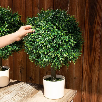 Premium 16" Diameter Artificial Japanese Boxwood Topiary – Set of 2 Faux Plants in Beige Decorative Planters – Realistic, UV-Resistant, Weatherproof Outdoor & Indoor Décor