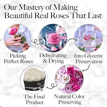 GLAMOUR BOUTIQUE 16 Flower Forever Heart Shape Box - Preserved Roses Gift for Her, Preserved Flowers, White