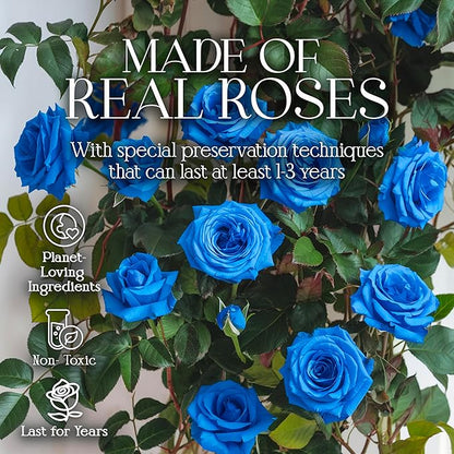 GLAMOUR BOUTIQUE Preserved Roses in a Box - Gifts for Her, Wife & Mom, Rose Flowers Forever Decor for Birthday Gift, Get Well Flower Bouquet Cased in White Box with Cover - Blue - 16-Piece