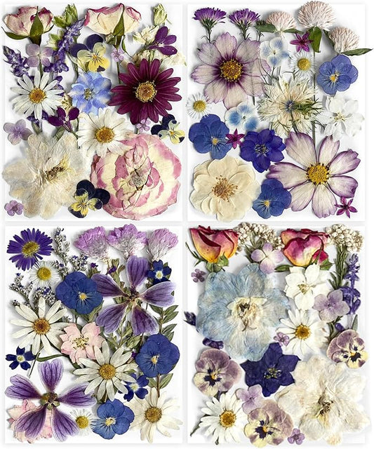 Purple Pressed Flowers 88Pcs Real Natural Dried for Resin Molds, DIY Crafts, Jewelry + Free 100Pcs Butterfly Stickers + Tweezers