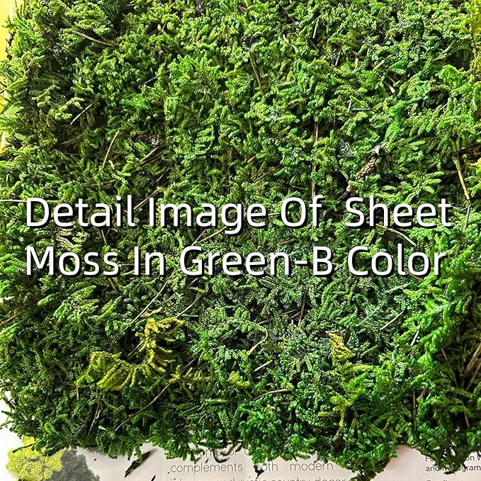 Preserved Sheet Moss Natural Green Decorative Real Natural Green DIY Kit Gardenning Art Wall Decor Florist Decor Easter Table Decor Wedding(4 sq.ft.) (Green-A,Green-B,Green-C)