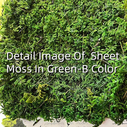 Preserved Sheet Moss Natural Green Decorative Real Natural Green DIY Kit Gardenning Art Wall Decor Florist Decor Easter Table Decor Wedding(4 sq.ft.) (Green-A,Green-B,Green-C)